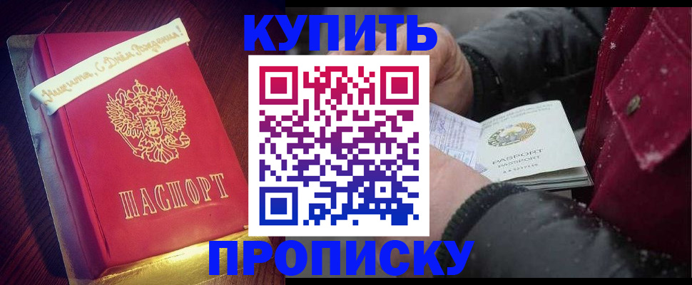 прописка гарантия в Кингисеппе